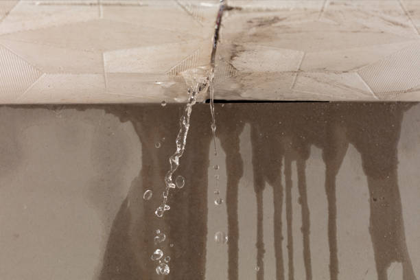 Professional Flood Damage Cleanup technician working in Alvord, IA